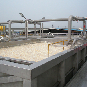 Lavadora de piel de pescado de piel de vaca de materia prima para la industria de la gelatina