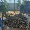 Máquina cortadora de piel de pescado de piel de vaca para hacer gelatina