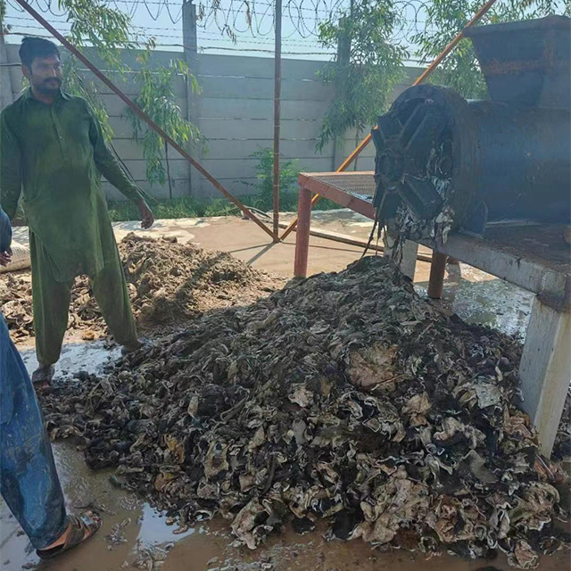 Máquina cortadora de piel de pescado de piel de vaca para hacer gelatina